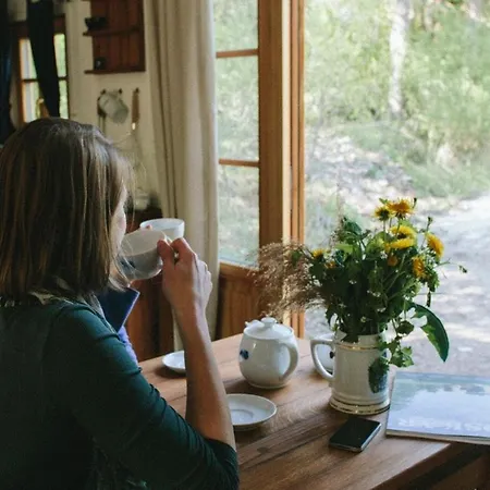 Wohnwagon Tiny Houses Ii * Gutenstein